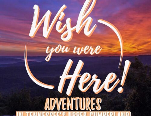 Wish You Were Here Returns Thursday