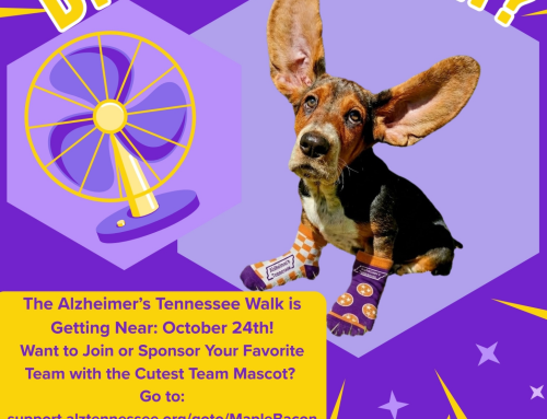 Announcing Alzheimer’s Fundraiser